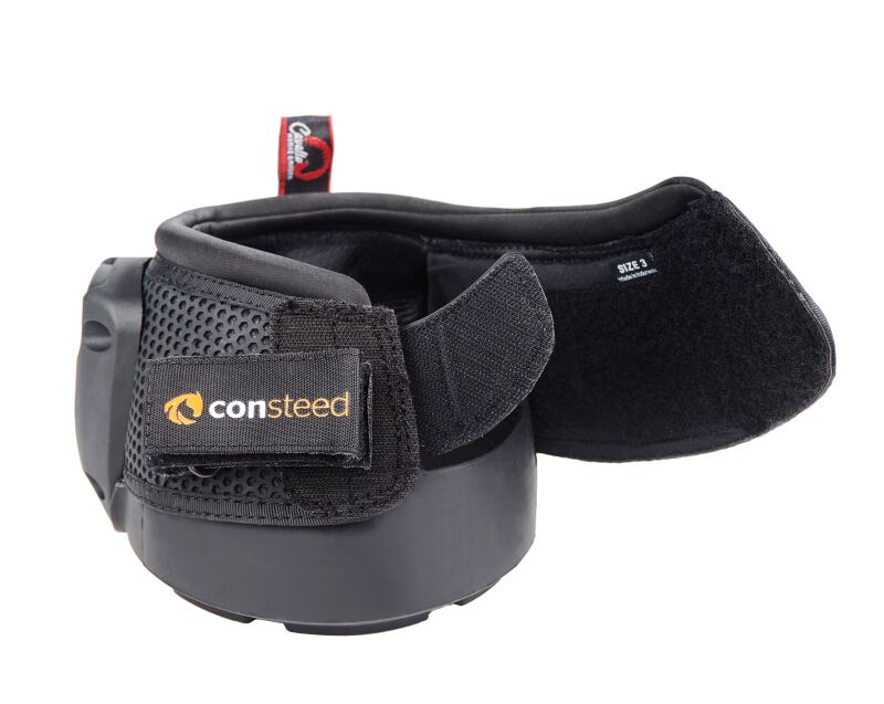 consteed - the smart horse sneaker